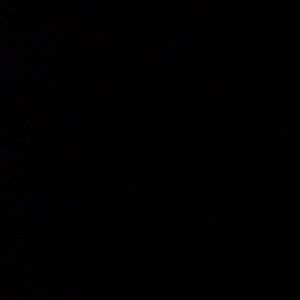 Meet your Posher, Lizzie